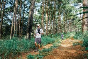 BIB: 
                            <button type="button" onclick="openModal(25762912)" class="btn btn-primary btn-sm float-right btn-popup" data-toggle="modal" data-target=".modal-high-quality">
                        <i class="fas fa-shopping-cart"></i> Add to Cart
                    </button>
                                            <button type="button" onclick="isThisMe(25762912, true)" class="btn btn-success btn-sm float-right btn-popup btn-isme hidden" data-toggle="tooltip" data-placement="bottom" title="นี่คือรูปของคุณใช่ไหม คลิกที่นี่เพื่อเอาเข้าอัลบั้ม">
                        <i class="fas fa-plus"></i> Add to album
                    </button>
                    <button type="button" onclick="isThisMe(25762912, false)" class="btn btn-warning btn-sm float-right btn-popup btn-isnotme hidden">
                        <i class="fas fa-ban"></i> Remove from album
                    </button>